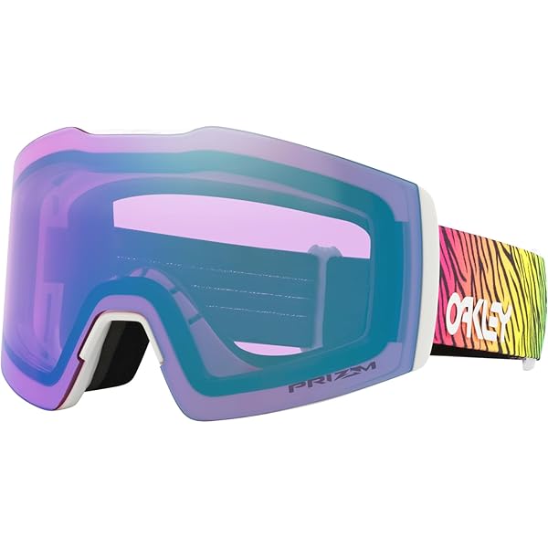 Amazon.com: Oakley FALL LINE M Snow Goggles Matte Black Strap